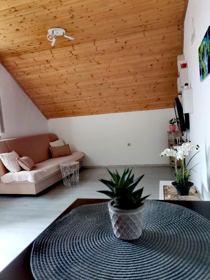 Apartment Dolores 斯莫利亚纳茨 外观 照片