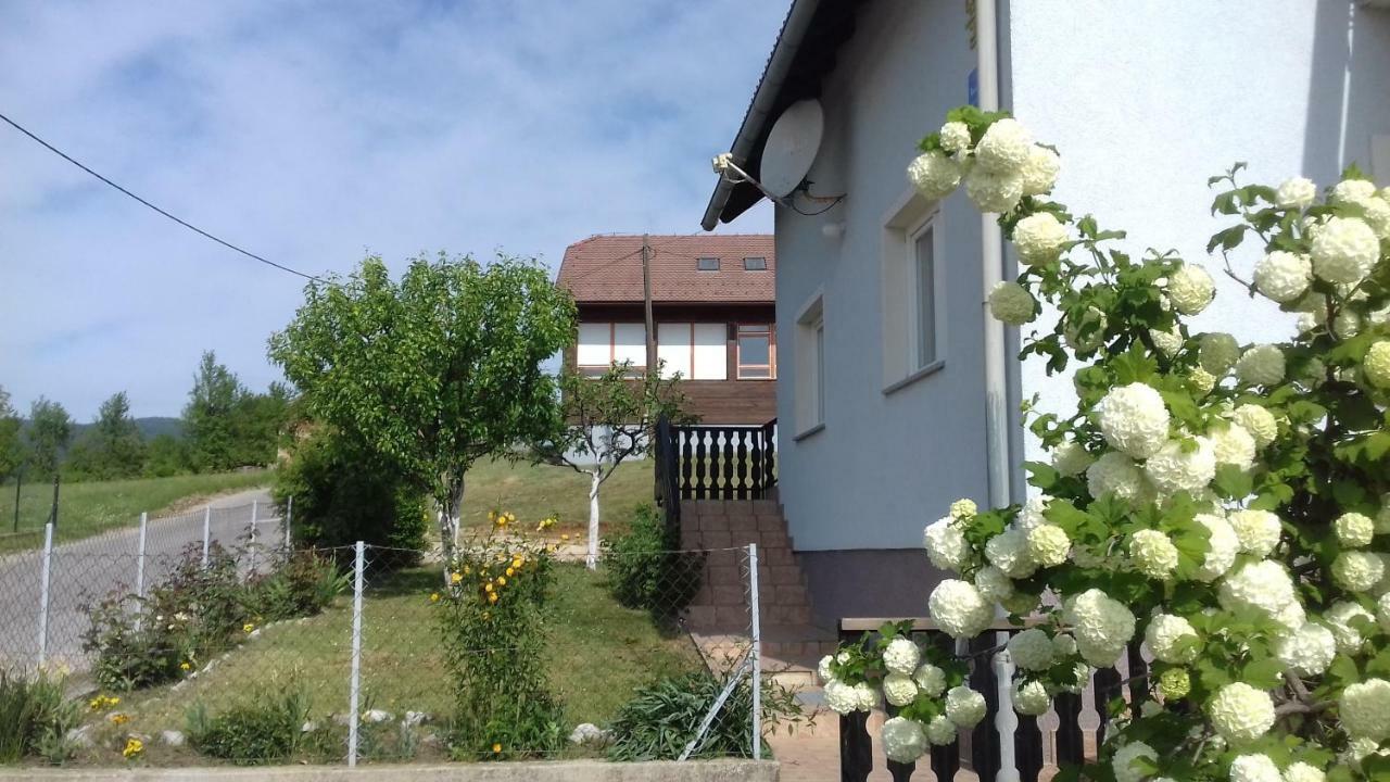 Apartment Dolores 斯莫利亚纳茨 外观 照片